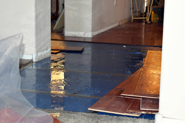 Professional Sewage Cleanup technician working in Filer City, MI